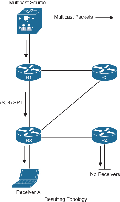 A figure shows a PIM-DM resulting topology after pruning.