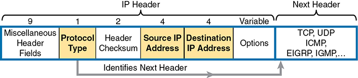 A figure shows an overview of the IP header and the next header in the extended numbered IP Access Control Lists (ACLs).