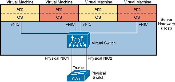 A schematic diagram represents the connection between the physical switch with a host server through a virtual switch.