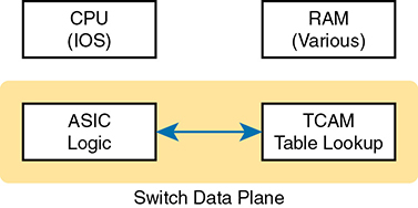 A figure represents the typical switch with key internal processing points.