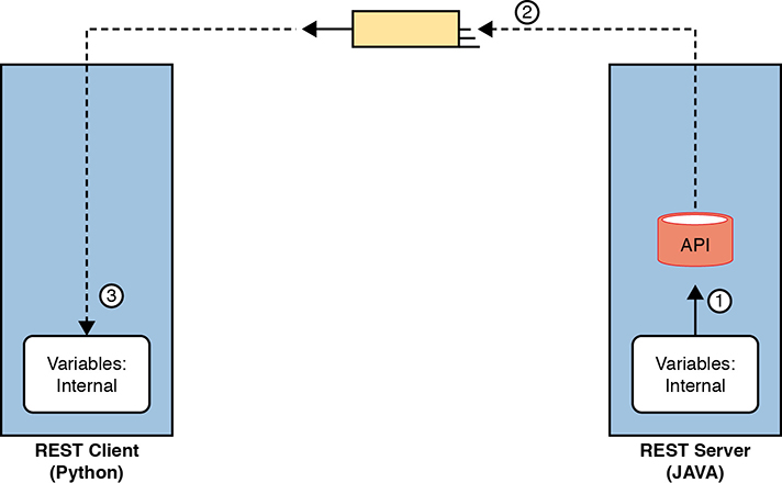 A figure represents the broken concept of moving variables from REST server (JAVA) to REST client (Python).