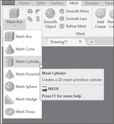 A screenshot lists the options in the mesh box option.