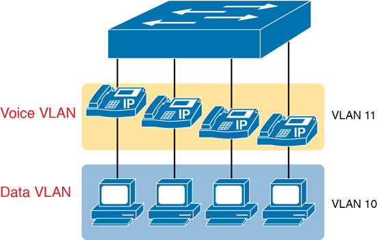 A figure depicts a LAN design, with data in VLAN 10 and phones in VLAN 11.