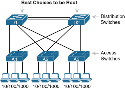 A typical LAN design model with distribution switches as root is shown.