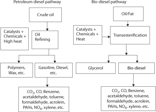 Figure shows that pathway for conventional bio-diesel production and petrodiesel production follow similar path and emit pollutants like benzene, xylene, etc.