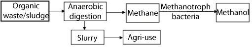 Block diagram shows the process of utilizing microbes to convert methane to methanol. Methane produced from anaerobic digestion is acted upon by methanotrops that convert methane into methanol. No expensive or toxic chemicals are involved in the process.