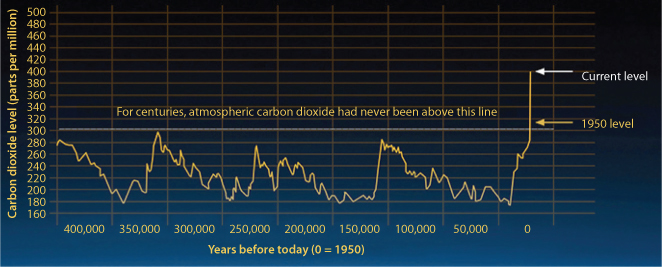 Graph depicts a variation in atmospheric CO2 concentration, showing a massive increase in atmospheric carbon dioxide concentration in 2018.