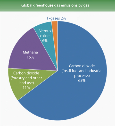 Pie chart depicts global greenhouse emission of gases, colour coded as blue for carbon dioxide from fossil and industrial process, green for carbon dioxide from forestry, purple for methane, light blue for nitrous oxide and orange for Fluorinated gases.
