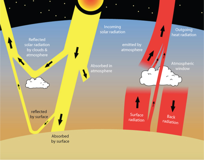 Figure shows the fluxes of energy in and out of Earth’s surface. The Sun provides most of the incoming energy, shown in yellow. Most of the outgoing energy is emitted by Earth’s surface as long wavelength radiation, shown in red.