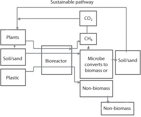Figure shows environment of a natural process as a bioreactor that does not enable conversion of synthetic non-biomass into biomass.