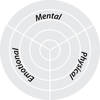 Image shows a dartboard with three quadrants for emotional, mental and physical states.