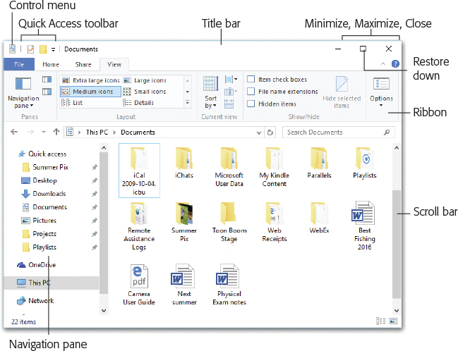 All windows have the same basic ingredients, making it easy to become an expert in window manipulation. This figure shows a File Explorer window—a disk or a folder—but you’ll encounter the same elements in application windows.
