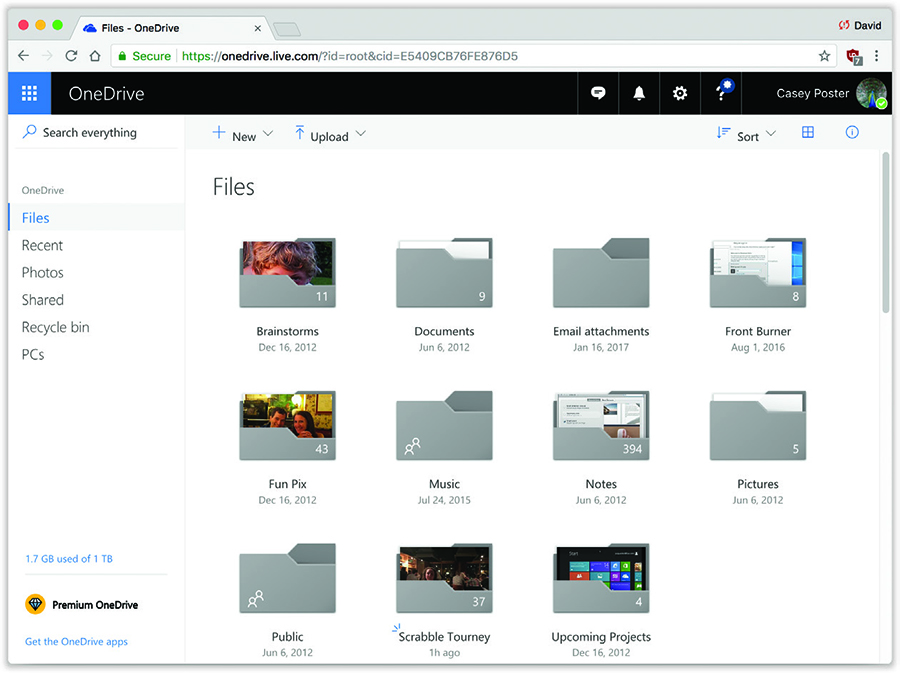 Here’s the online copy of your OneDrive contents. It may be a little clunkier than working on the desktop, but you have full command here: copy, rename, delete, move into new folders, and so on.