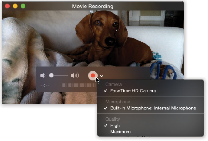 Use the pop-up menu to set up your flick; check the audio level (reflected by the dancing “VU-meter” bars at the bottom of the control bar); and choose a camera and mike.