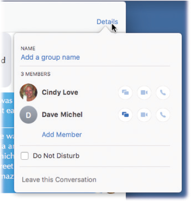 If you click where it says Group Name, you can type a new name. That should make it easier to identify this conversation later in the list of chats at the left side of the window. (The Details button doesn’t appear until somebody has actually said something in this chat.)