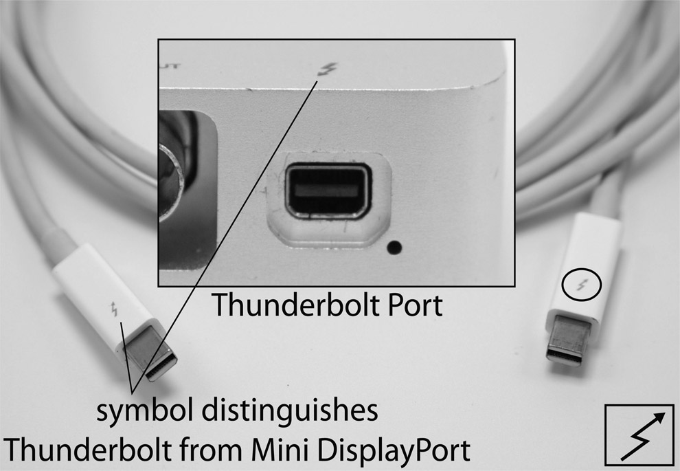 Figure 5.15 Male and female thunderbolt