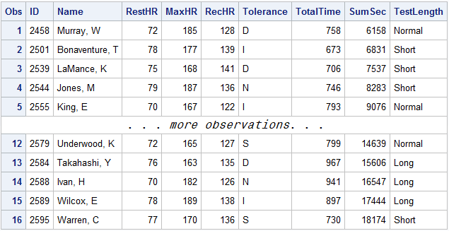 Partial Output: StressTest Data Set with Dropped Variables