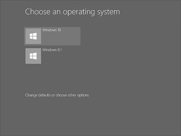 A screen shot shows the Choose An Operating System page of the multiboot startup process.