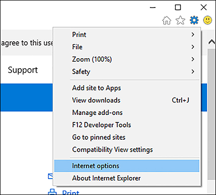 A screen shot shows the Tools menu of Internet Explorer.
