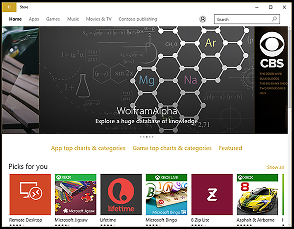 A screenshot shows the tab for the private store in the Microsoft Store app.