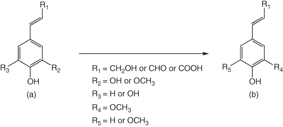 Structural illustration of Methylation of caffeyl and 5-hydroxyconiferyl derivatives (a) by SAM-dependent O-methyltransferase to produce coniferyl and sinapyl derivatives (b).