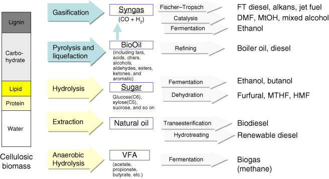 Illustration of Platforms for biofuel production.
