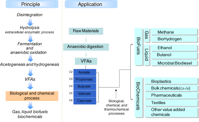 Illustration of Concept of VFA platform.