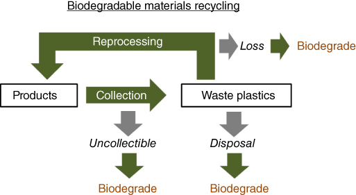 Scheme for biodegradable polymer recycling.