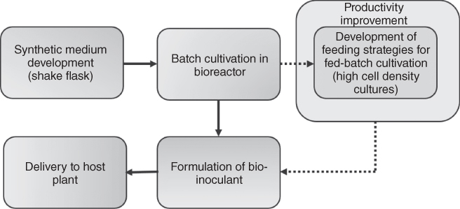 Illustration of Sequence of process operations during production of bio-inoculant.