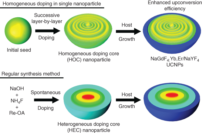 Illustration of Engineering homogeneous doping in upconversion nanoparticles by successive layer-by-layer process.