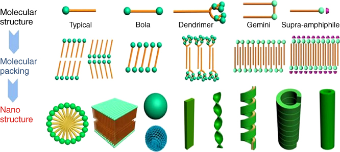 Illustration of Various kinds of amphiphiles and the illustrations of the self-assembly of amphiphiles to diverse nanostructures through a bilayer or monolayer unit.
