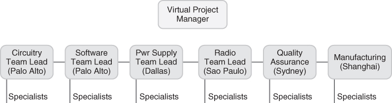 Depiction of Virtual Project Core Team Structure.