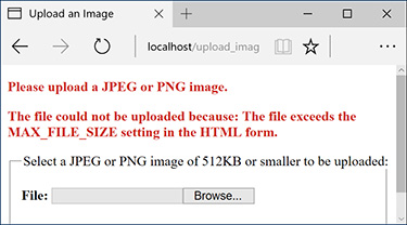 Screenshot of an HTML form is shown. Warning message at the top reads, please upload a JPEG or PNG image. The file could not be uploaded because: the file exceeds the max_file_size setting in the HTML form.