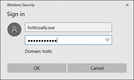 In the Windows Security screen, under Sign in, holtssally.sue is entered in the top textbox and dots representing password is entered in the box below it. Domain is indicated as holts. Ok and Cancel buttons are at bottom.