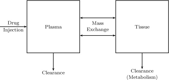 Diagrammatic representation of the study of drug uptake and metabolism using two-compartment model.