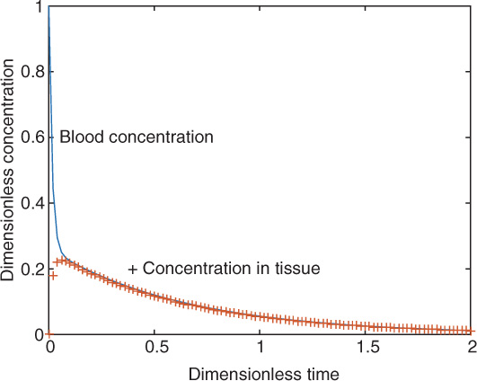 Graphical representation of the transient concentration profiles for a two-compartment model.
