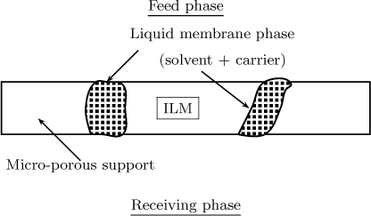 A schematic diagram of an immobilized liquid membrane is shown.