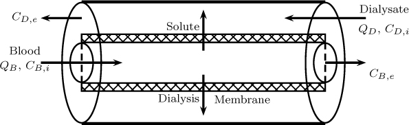 A schematic diagram of a hemodialyzer is shown.