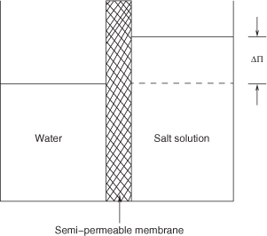 An illustration of the osmotic pressure difference across a semi-permeable membrane.