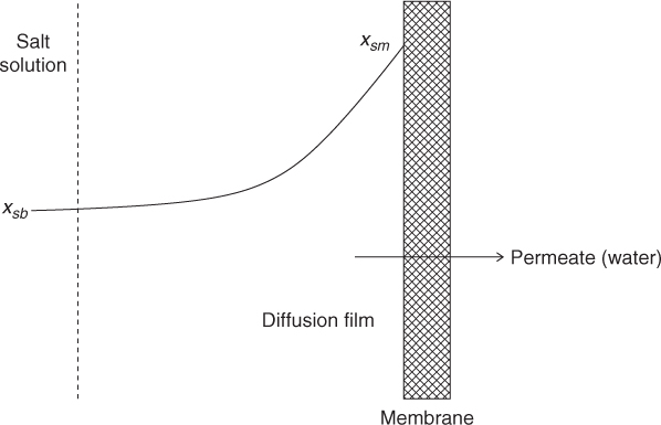 An illustration of the concentration polarization effect.