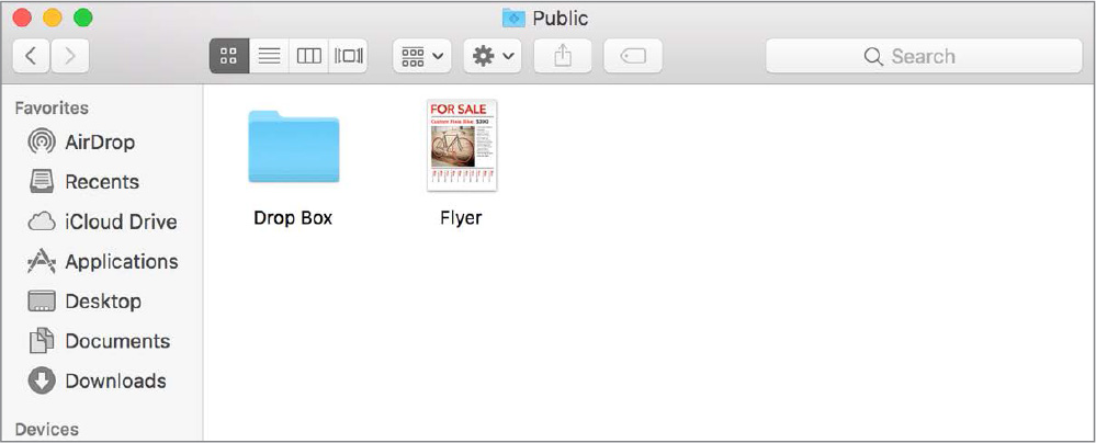 The public folder of macOS is shown, which includes two items, dropbox, and Flyer.