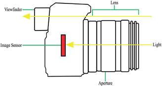 Figure 1.6: Cutaway view of mirrorless camera.