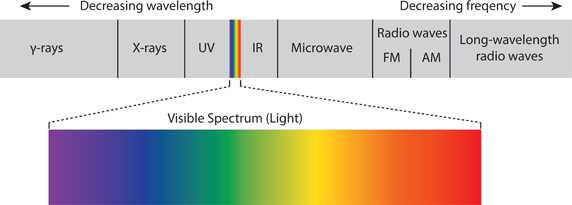 10.1 The electromagnetic spectrum, showing how light, or visible electromagnetic radiation, is only a small portion of it.