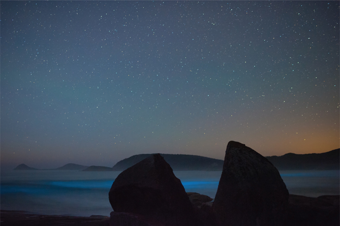 15.4 The glowing lights of bioluminescent algae add an unearthly dimension to landscape astrophotographs.