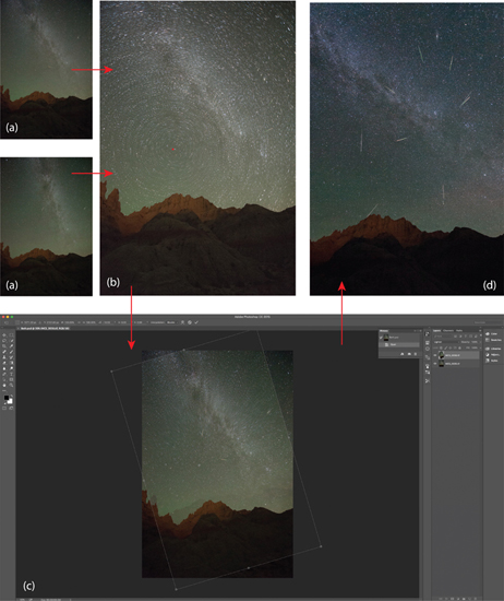 22.16 Brilliant meteor shower composite images are straightforward, if time-consuming, to make. First, be sure your composition contains a celestial pole. Pick one of the meteor-containing images for the foundation image. Open it and another meteor-containing image in Photoshop, (a). Copy the second image as a separate layer in the first image. Combine both layers using the “Light Blend” command, (b). You will see the relative motion of the stars around the celestial pole as miniature star trails. Repeat these steps with the remaining meteor-containing images; when you’re done, you will have an image with distant star trails encircling the celestial pole. Create another layer and use it to mark the point of the celestial pole. Keep this layer visible and uncheck the visibility of all but the foundation image layer and one of the remaining layers. The next step is to rotate the second layer around the celestial pole to bring it back into alignment with the foundation image, (c). This is easily done in Photoshop using the rotate command and moving the center of rotation to the point marking the celestial pole. Once this is done, simply select just the meteor from the second layer using a mask, and discard the rest of the layer. Repeat these steps with the other layers until you’re left with a single, composite image containing the correctly aligned meteor from each of the meteor-containing images, (d).