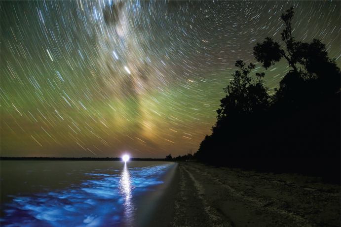 24.7 Bioluminescence Gippsland Lakes