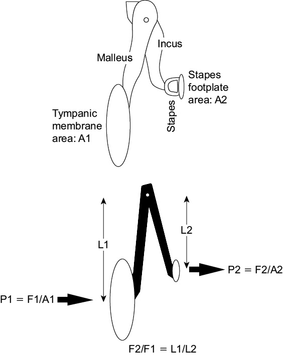 Figure 2.2