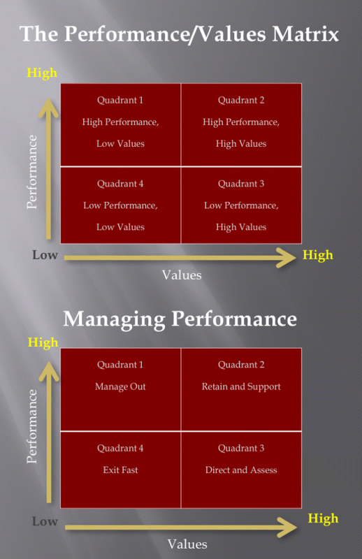 Figure depicting the performance/values and managing performance matrices.