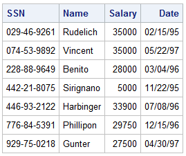 SAS Data Set Finance