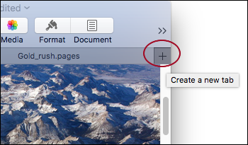 **Figure 37:** Click the plus button (circled) on the Tab Bar to create a tab.